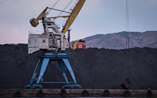 朝鮮違反禁令出口煤炭獲利 連軍方都參與
