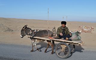 聯合國：百萬維族人被囚 新疆變無權利區