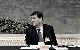 中共發改委副主任努爾·白克力被免職