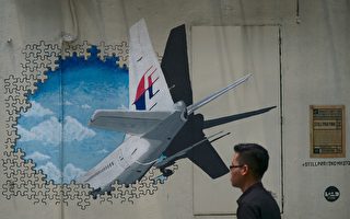 英專家推論：馬航MH370殘骸在柬埔寨密林中