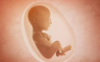 腹中胎儿会被噪音吓到吗？3招避免听觉伤害