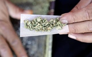 加拿大大麻合法化：可這幾個問題還沒答案