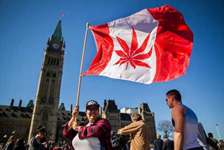 一名加拿大婦女在加拿大議會外揮舞將加拿大國旗圖案上的楓葉修改為大麻葉的旗幟。楓葉國變成大麻葉國？（AFP）