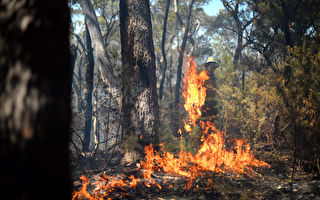 热浪席卷澳洲东南部 消防局发出山火警告