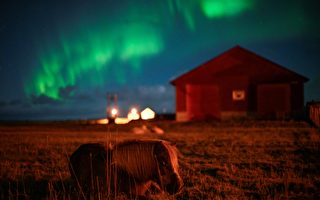 組圖：法國攝影師在挪威拍到「浴火鳳凰」