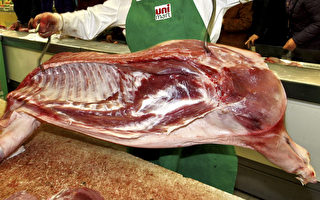 荷蘭豬肉遭沙門氏菌感染 已致19人生病