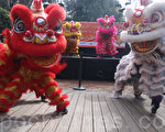 硅谷最大华人新年庆典圆满落幕  各族裔民众满意尽兴
