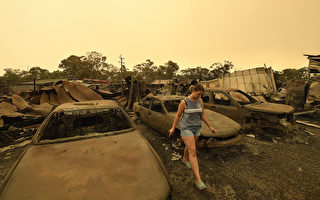 澳大利亚新州北部山火烧 毁近2万公顷林地