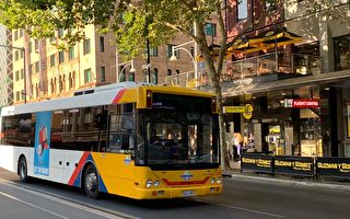 昆州公交降價之際 南澳明年方考慮調整票價