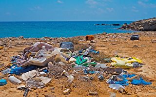 塑料品污染日益严重 数量于2050年或超鱼类