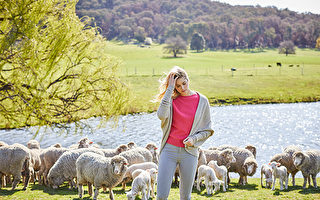 Merino&Co澳洲羊毛製品 世界羊毛中的珍品