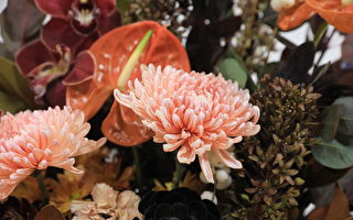 墨爾本國際花卉園藝展：當藝術邂逅大自然