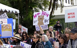 反對激進性教材  加州民眾州府集會抗議
