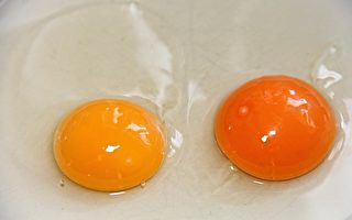 大陆高价土鸡蛋秘密：蛋黄被添加剂染色