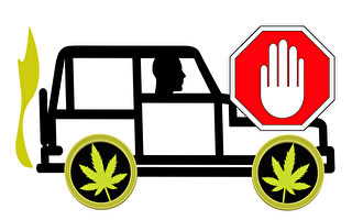 警方提醒：吸大麻後勿駕車 車內大麻需放好