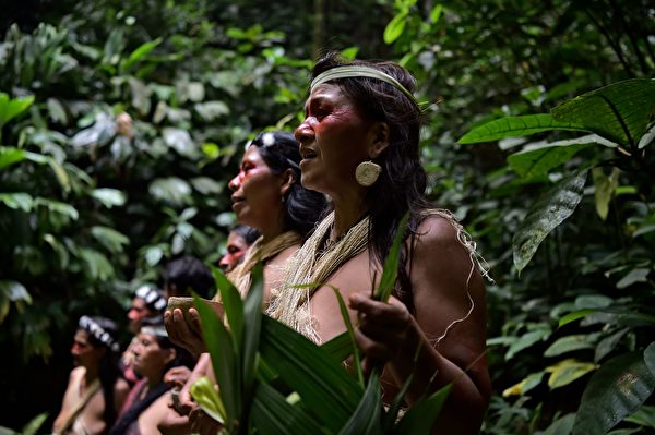 2019年4月，瓦拉尼部落在库拉赖河畔唱歌，反对石油公司侵占雨林。(RODRIGO BUENDIA/AFP/Getty Images)
