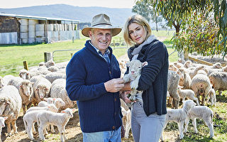 好禮相送 澳洲本土最受歡迎的羊毛衫品牌