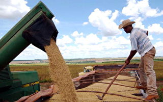 贸易战升级 美将实施160亿农业援助计划