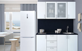 窄身薄型冰箱推荐：宽不到60，深不到65，解决小厨房空间困扰