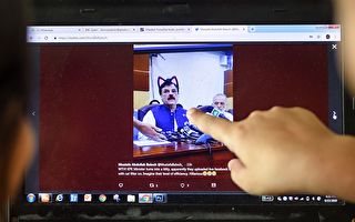 巴基斯坦官方会议直播开猫脸滤镜 网友笑翻
