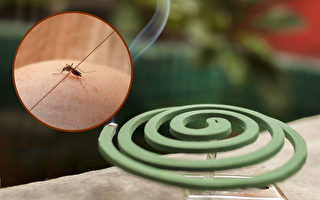 常見4大防蚊物品用對了嗎？這樣用驅蚊最有效