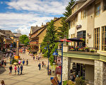 Whistler