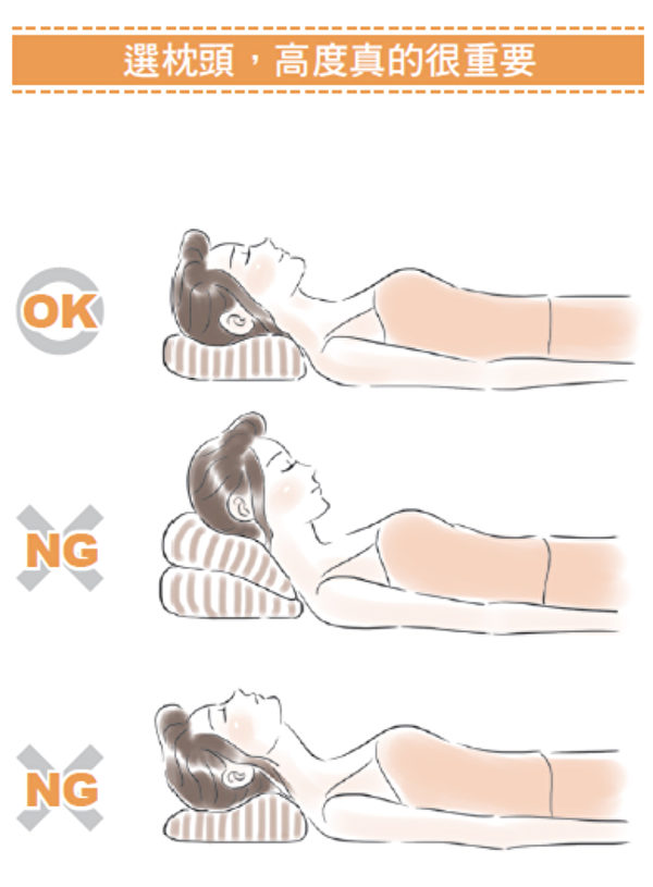 高度合适的枕头，躺下去时不但能托住脖子，让额头下巴呈一直线。（时报出版提供）