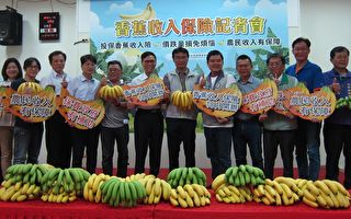 香蕉收入保险上路 高屏5乡镇10月试办