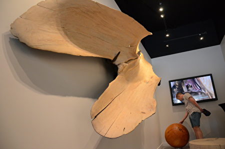 7月23日，溫南Kerrisdale社區迎來了本地著名藝術家布蘭特·康布爾的木質雕塑展-「樹叢之上」（Above the Trees）。展出將免費開放至10月中旬。（余天白/大纪元）