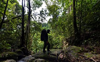 印尼男子擬倒著走800公里 籲重視森林保育