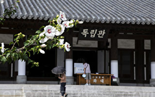 組圖：首爾無窮花慶典 花之芳香呼喚歷史