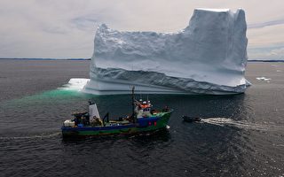 加拿大船长猎取新“白金”——海上冰山