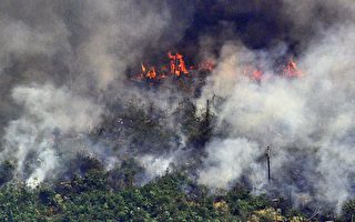 亚马逊森林大火持续燃烧 巴西派军队扑救