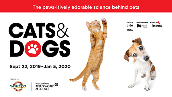 圖：溫哥華科學館的全新專題展覽《貓狗科學展》即將開幕！ 這個互動展覽會探索並揭露鮮為人知的動物科學知識。(溫哥華科學館提供)