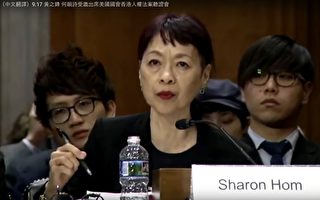 谭竞嫦美国国会香港人权法听证会证词