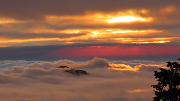 【視頻】阿里山罕見美景 夕陽如雞蛋黃