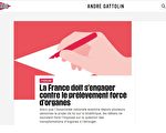 法国解放报：法国应该承诺反对强摘器官