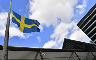 土耳其議會外事委員會投票 批准瑞典加入北約
