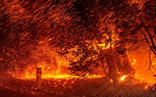 北加州金凱德大火24小時擴一倍  州長宣布緊急狀態