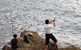 西澳海岸部署集鱼器  吸引游客垂钓