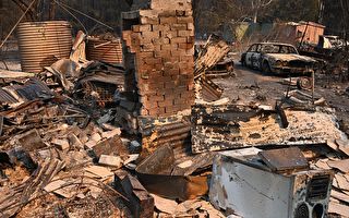 山火威胁“灾难”级 新州宣布进入紧急状态