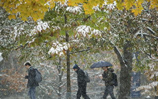 多伦多降雪降温破同日纪录 周二晚接近-20℃