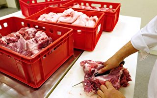 中國非洲豬瘟肆虐 導致德國肉價上漲