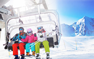 週末好去處（11月8日～10日）滑雪展 健康展 茶文化節