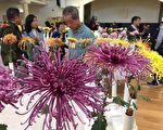 传承古老花卉栽培   硅谷菊花展吸引各族裔