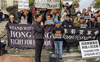 洛杉磯聲援香港國際人權日遊行 為自由而戰