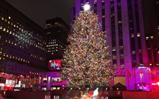 纽约洛克菲勒圣诞树点灯 照亮至1月17日