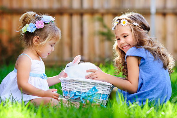 group of two little girl with a bunny rabbit have a easter at green grass background Portrait of yellow scared cat hiding at home Fotolia