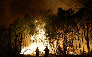 全球逾万人募捐长跑 为澳洲山火灾民筹款