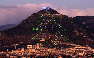 高750公尺 世界最大圣诞树在意大利